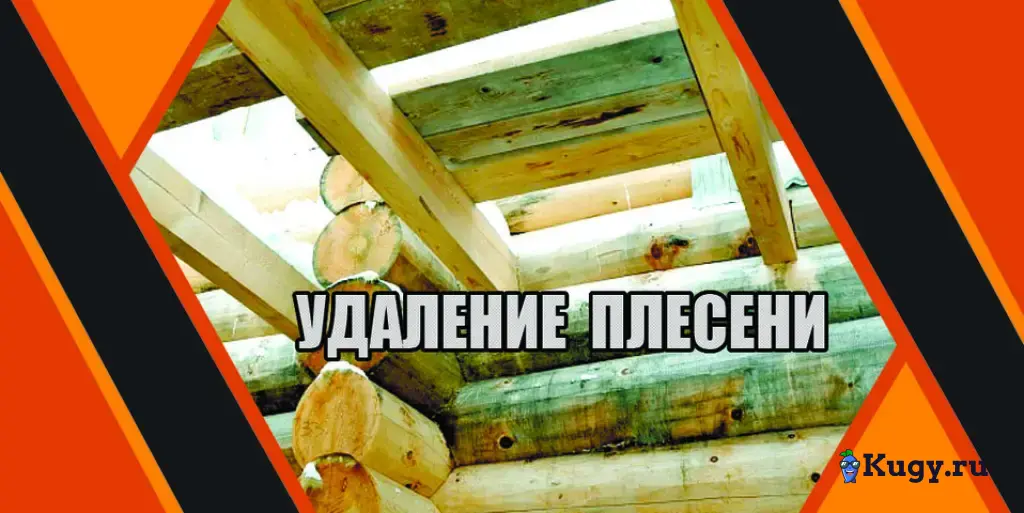 Профессиональное удаление плесени